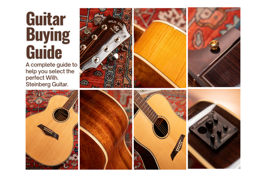 Wilh. Steinberg Guitars Buyers' Guide: Where to Start