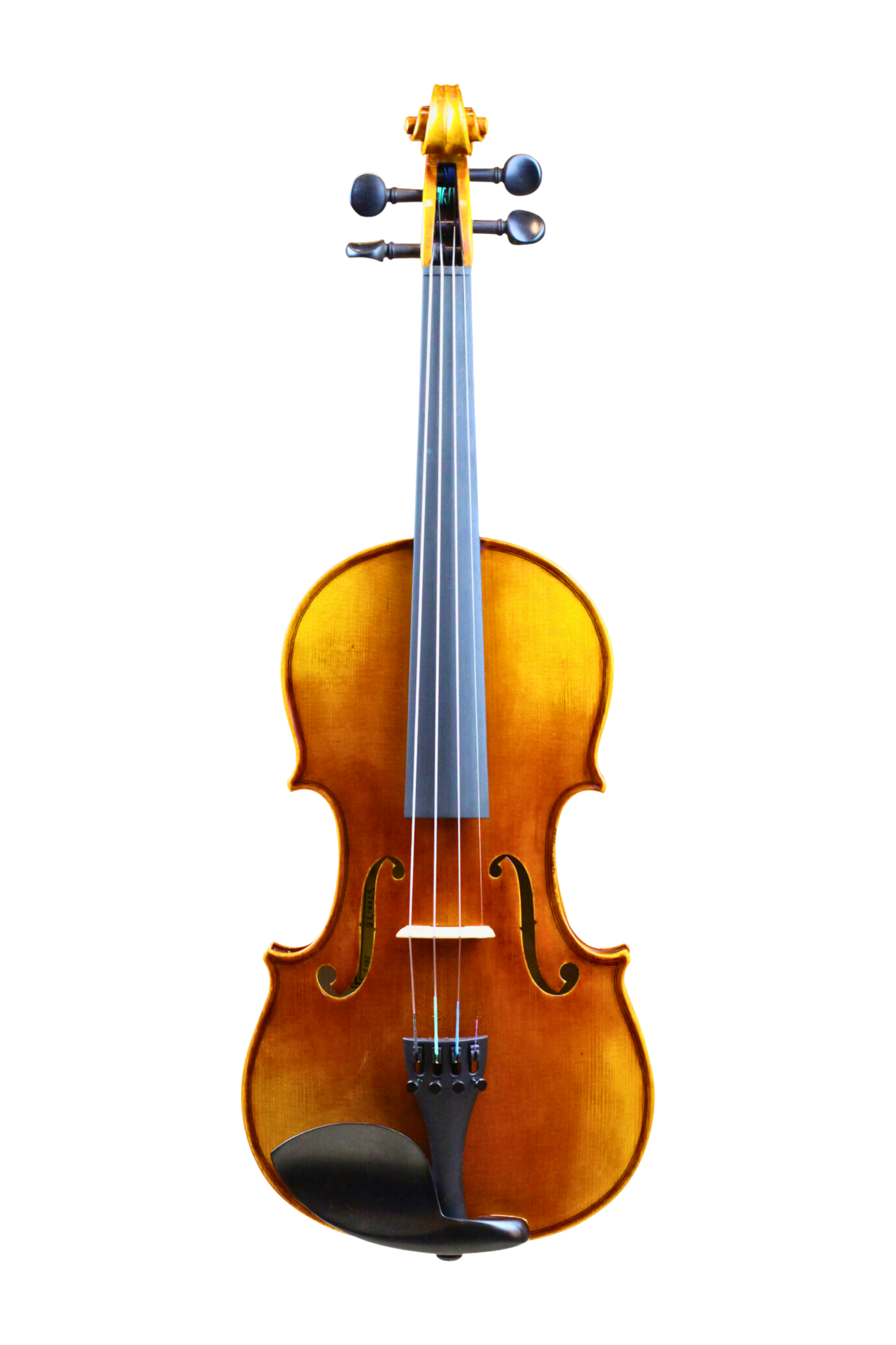 PS300ES Violin