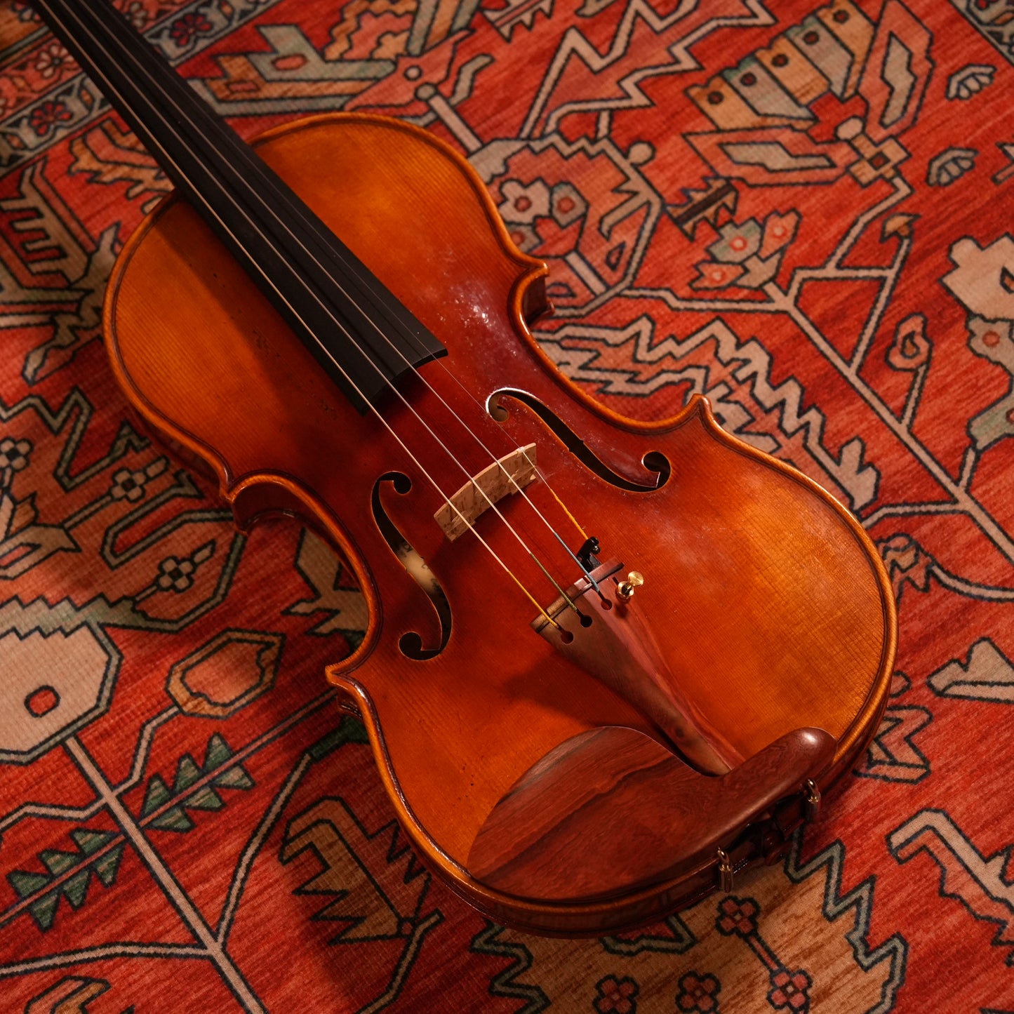 LS1000 Violin