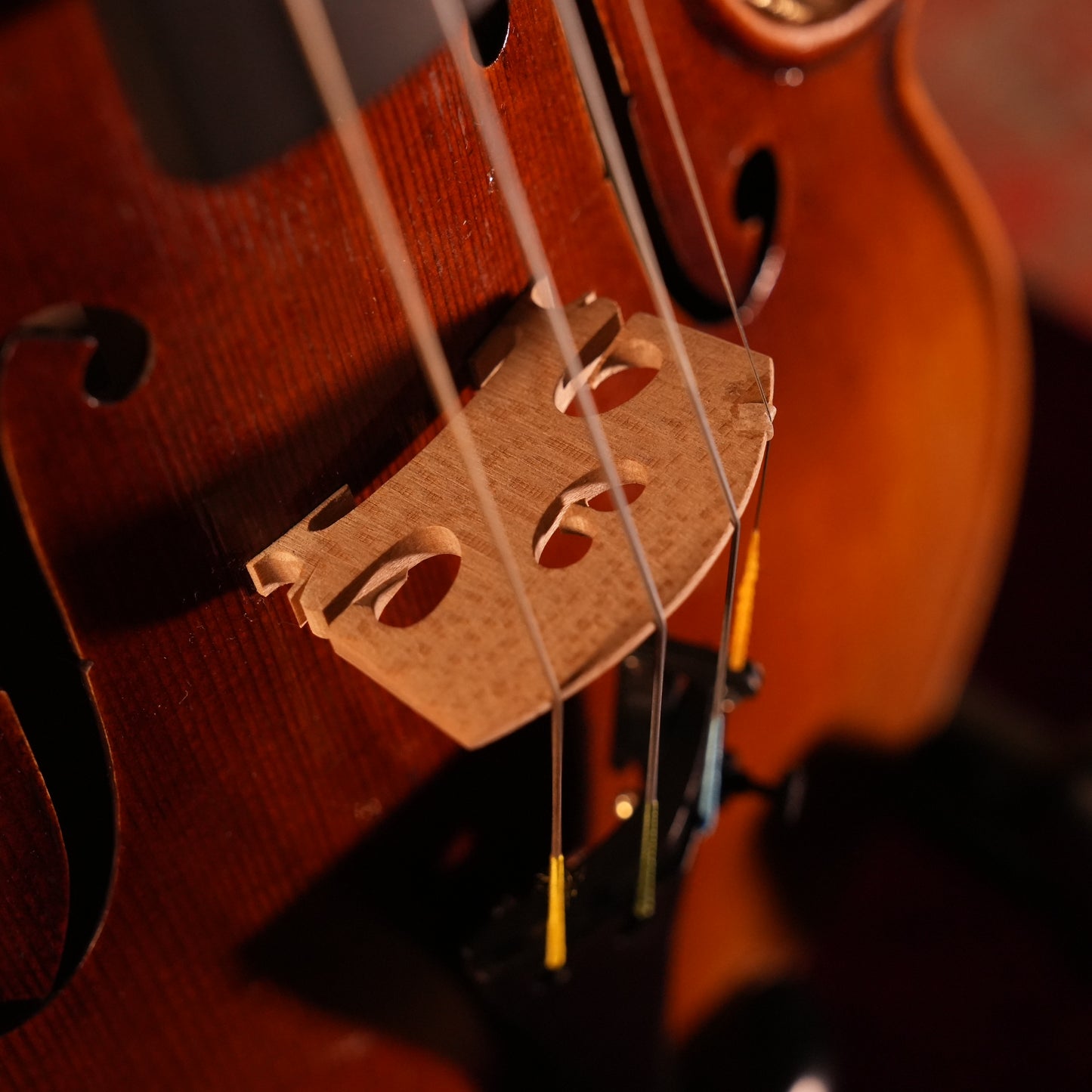 GS700 Violin