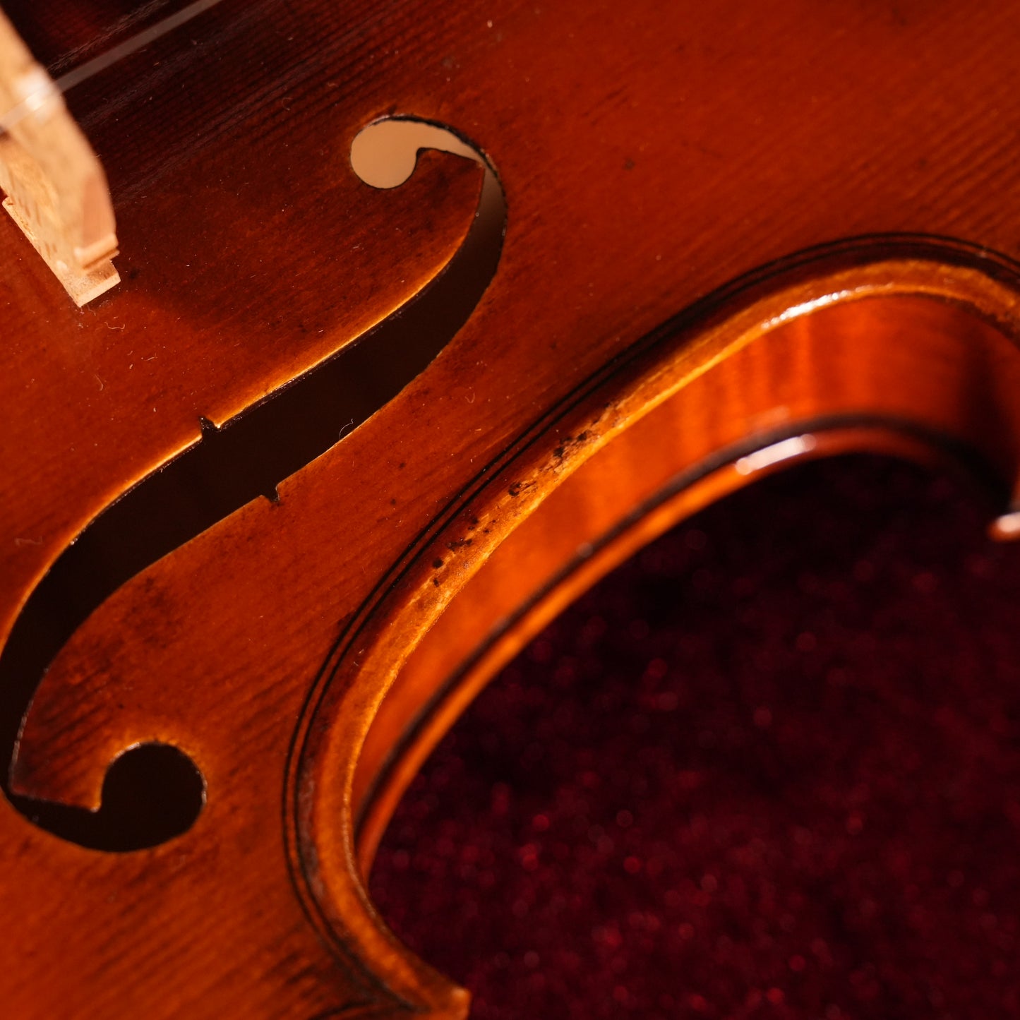 GS600 Violin