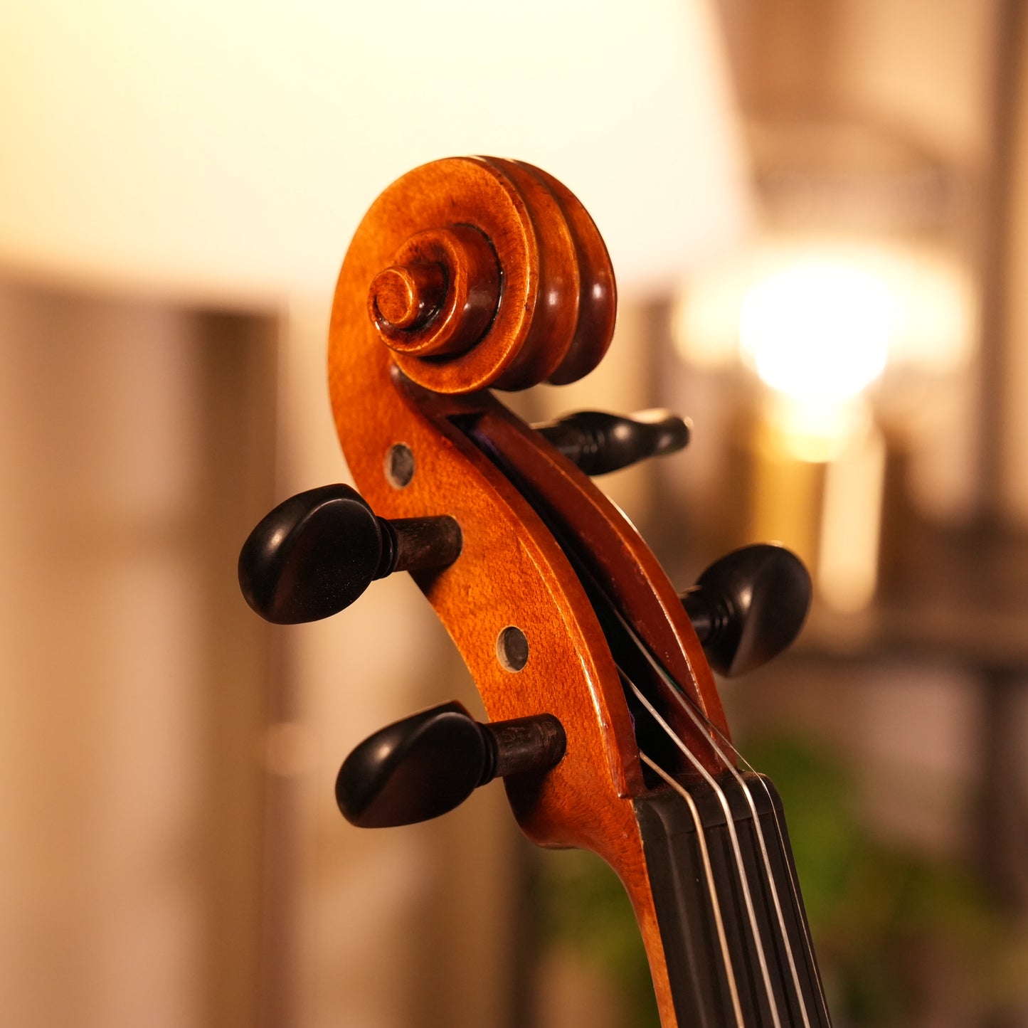 PS300ES Violin