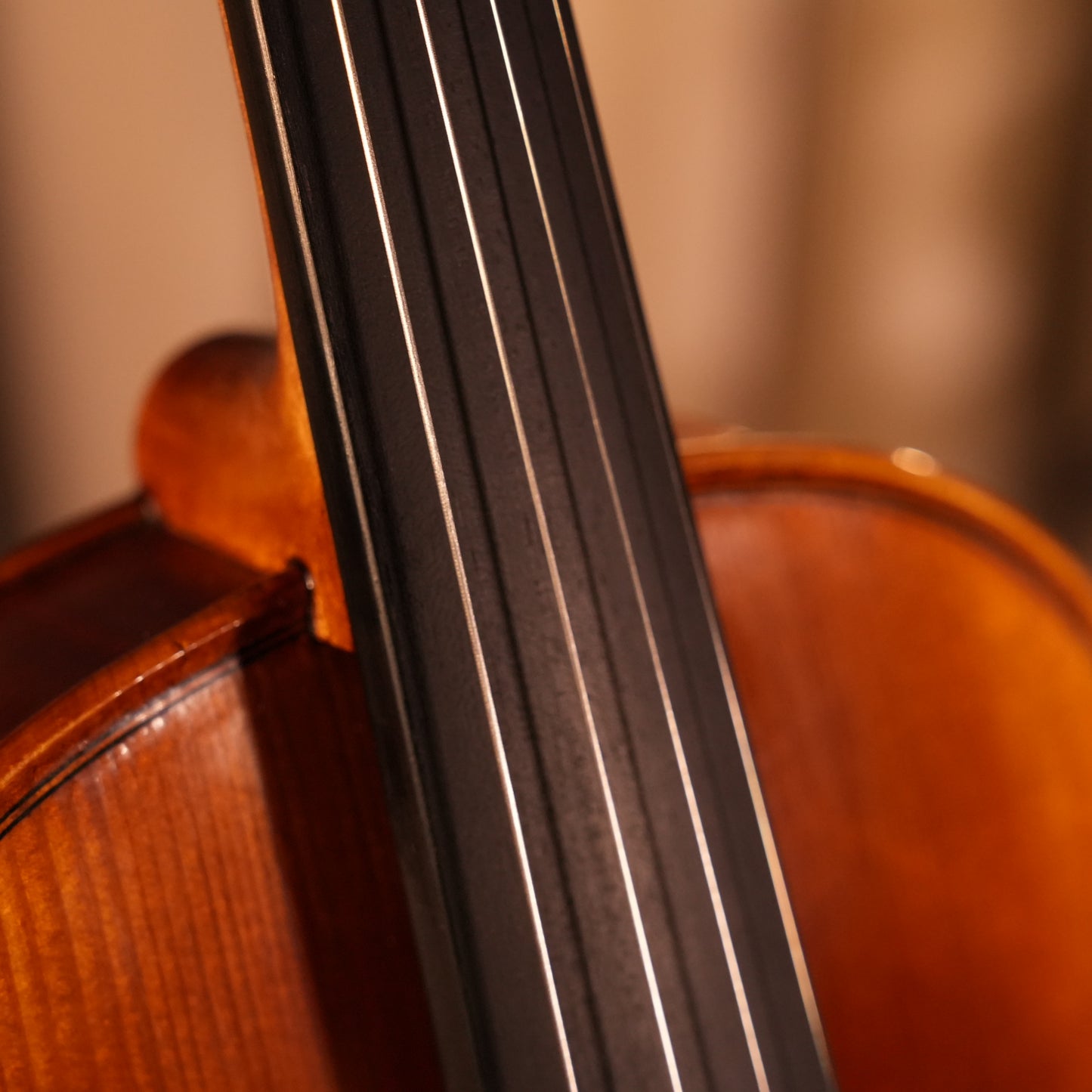 PS200 Violin