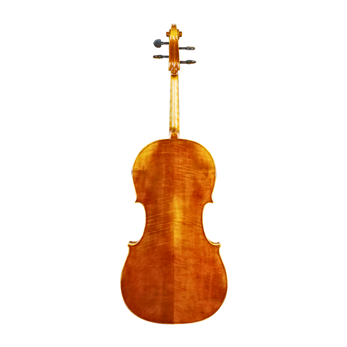 GSC600 CELLO