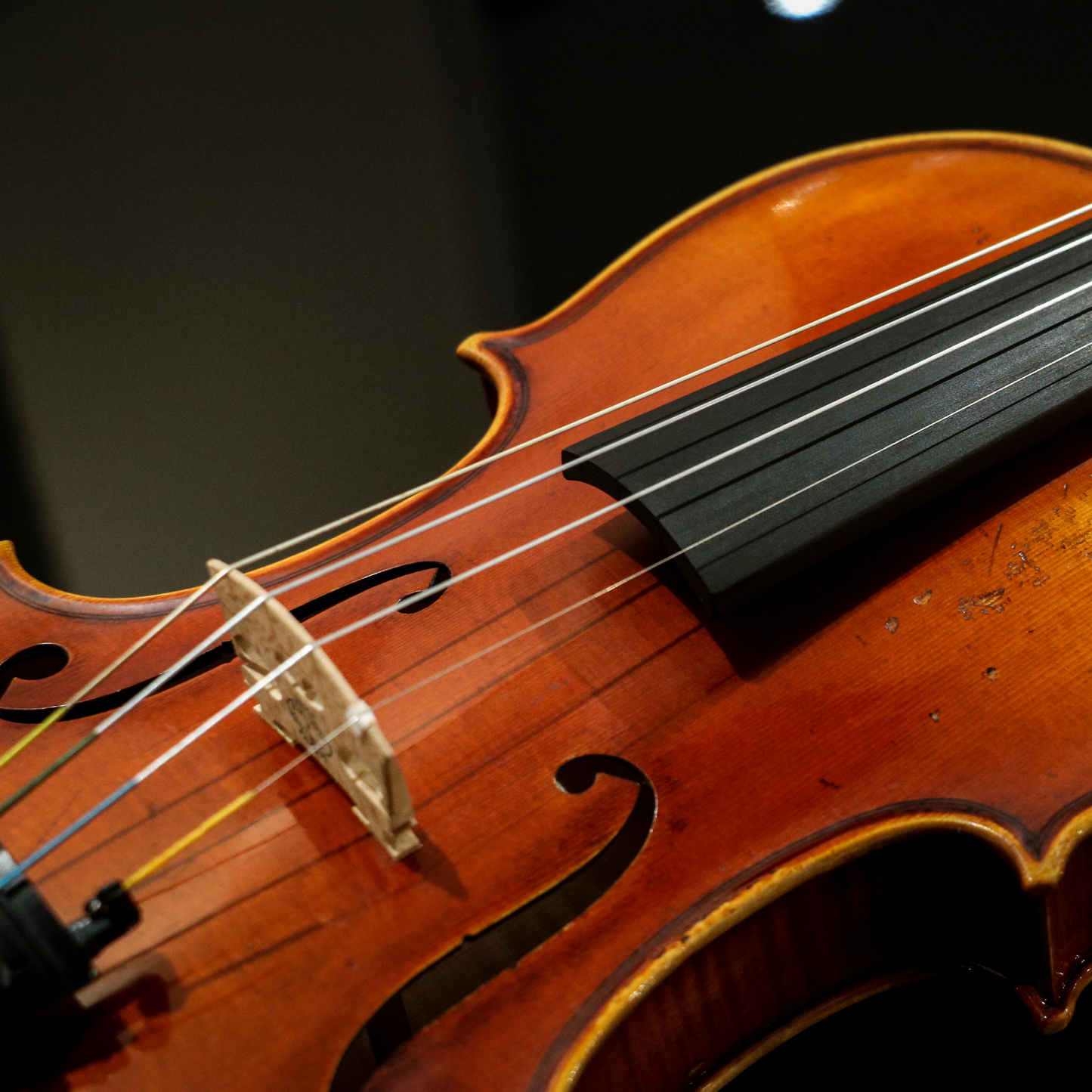 LS800 Violin