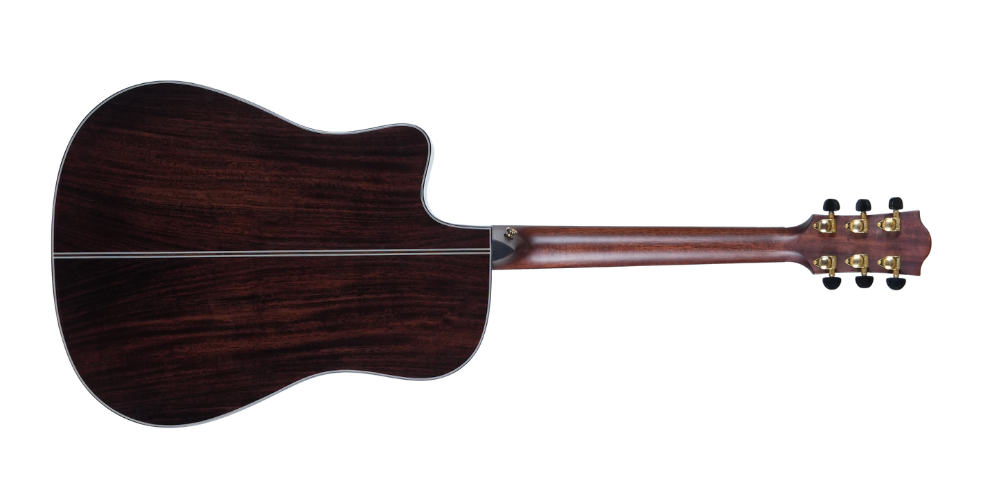 PD23CE All-solid Acoustic Electric Dreadnought Guitar, Solid Sitka Spruce and Solid Rosewood