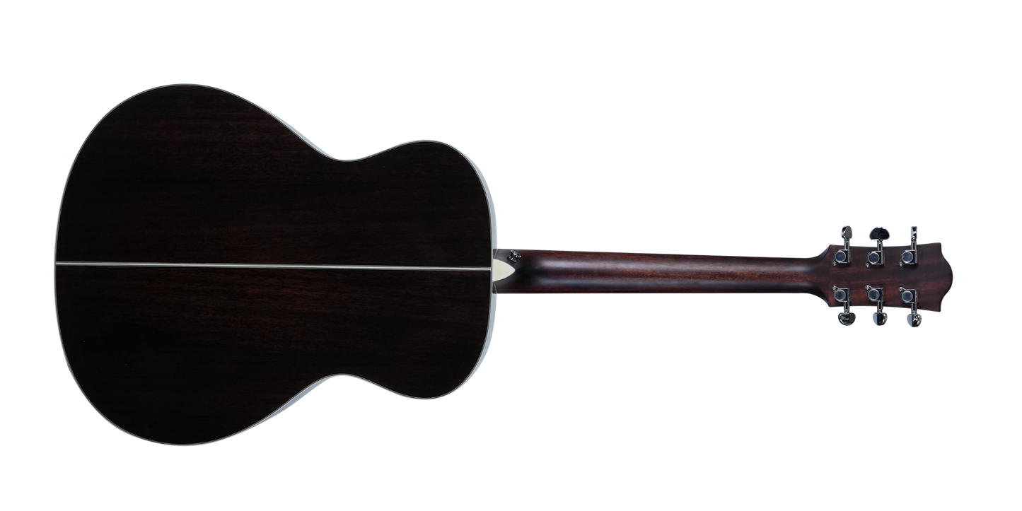 PG20S STB Solid-top Acoustic Grand Auditorium Guitar, Solid Spruce and Rosewood