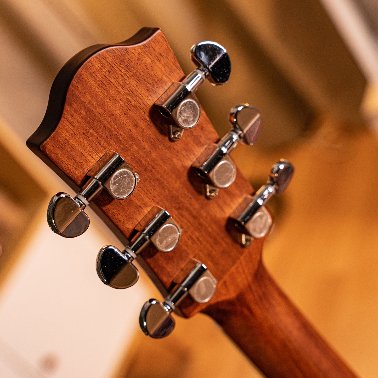 PD10MFSE Solid-top Acoustic Electric Dreadnought Guitar with effects, Solid Spruce, Mahogany, Unplugged Effects