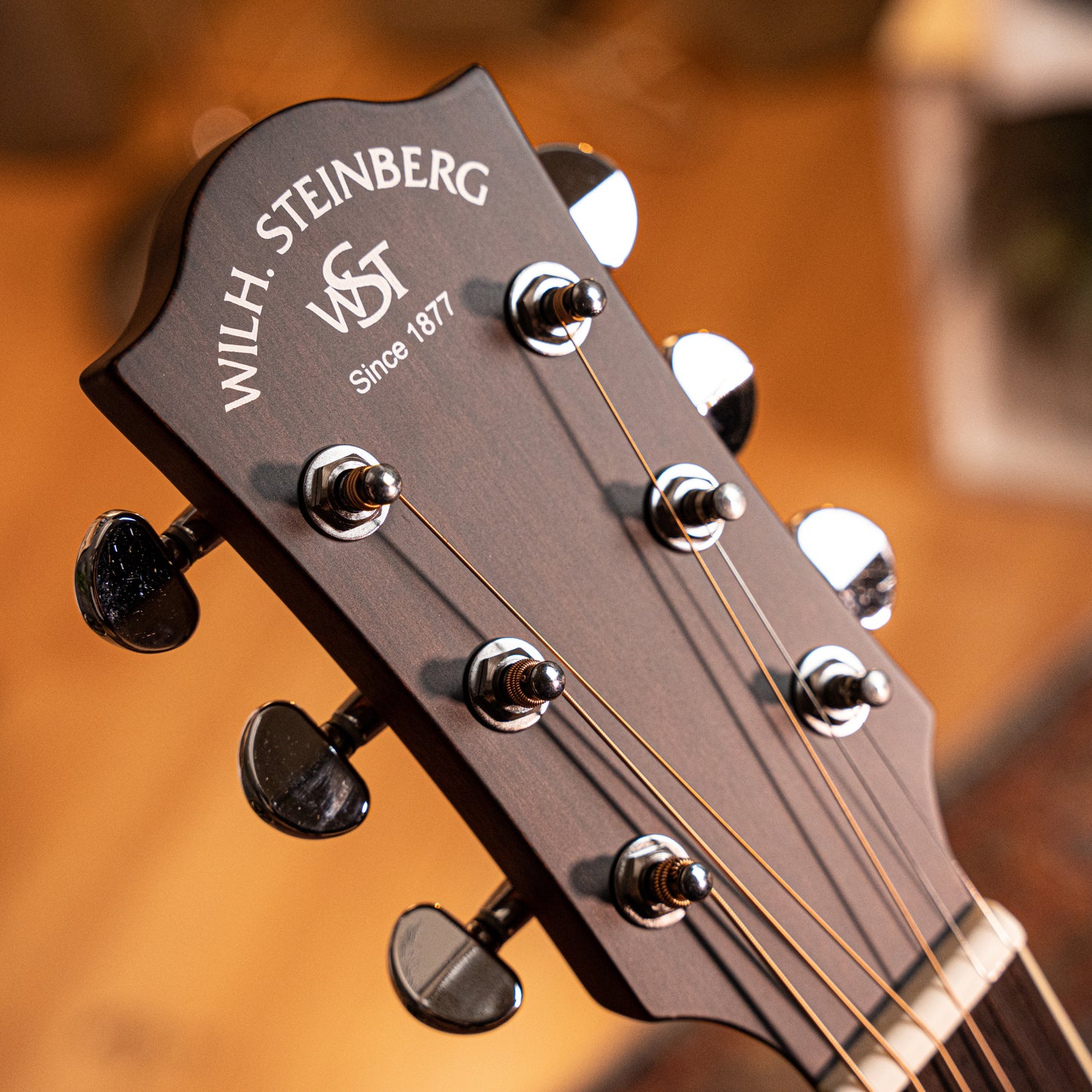 PD10MFSE Solid-top Acoustic Electric Dreadnought Guitar with effects, Solid Spruce, Mahogany, Unplugged Effects