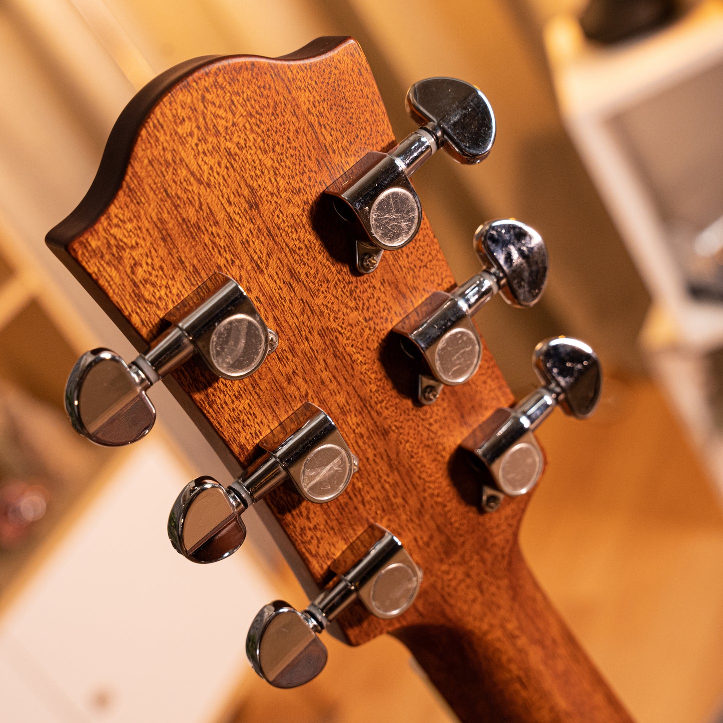 PD10S Solid-top Dreadnought Acoustic Guitar, Solid Spruce and Mahogany
