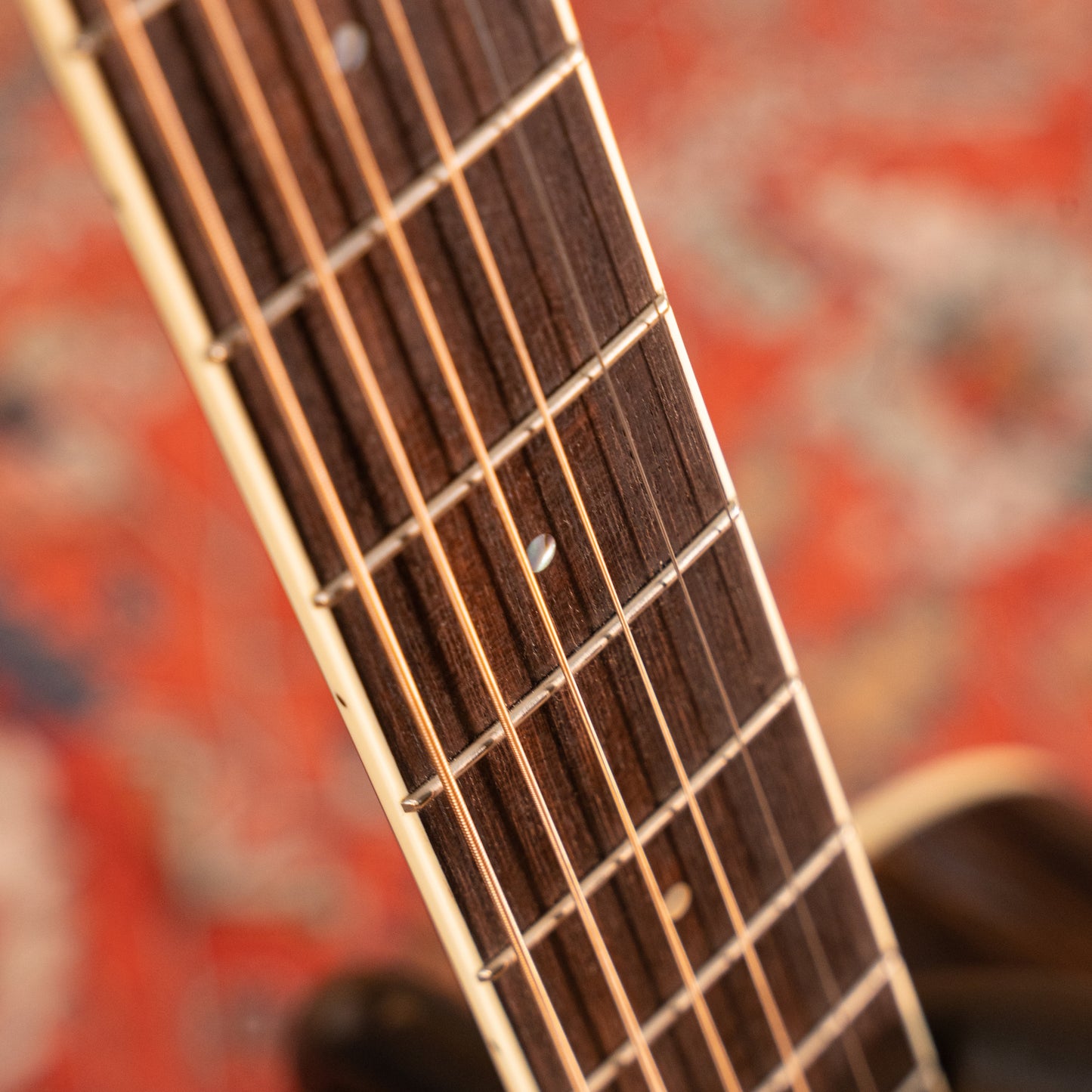 PD20S Solid-top Acoustic Dreadnought Guitar, Solid Spruce and Rosewood