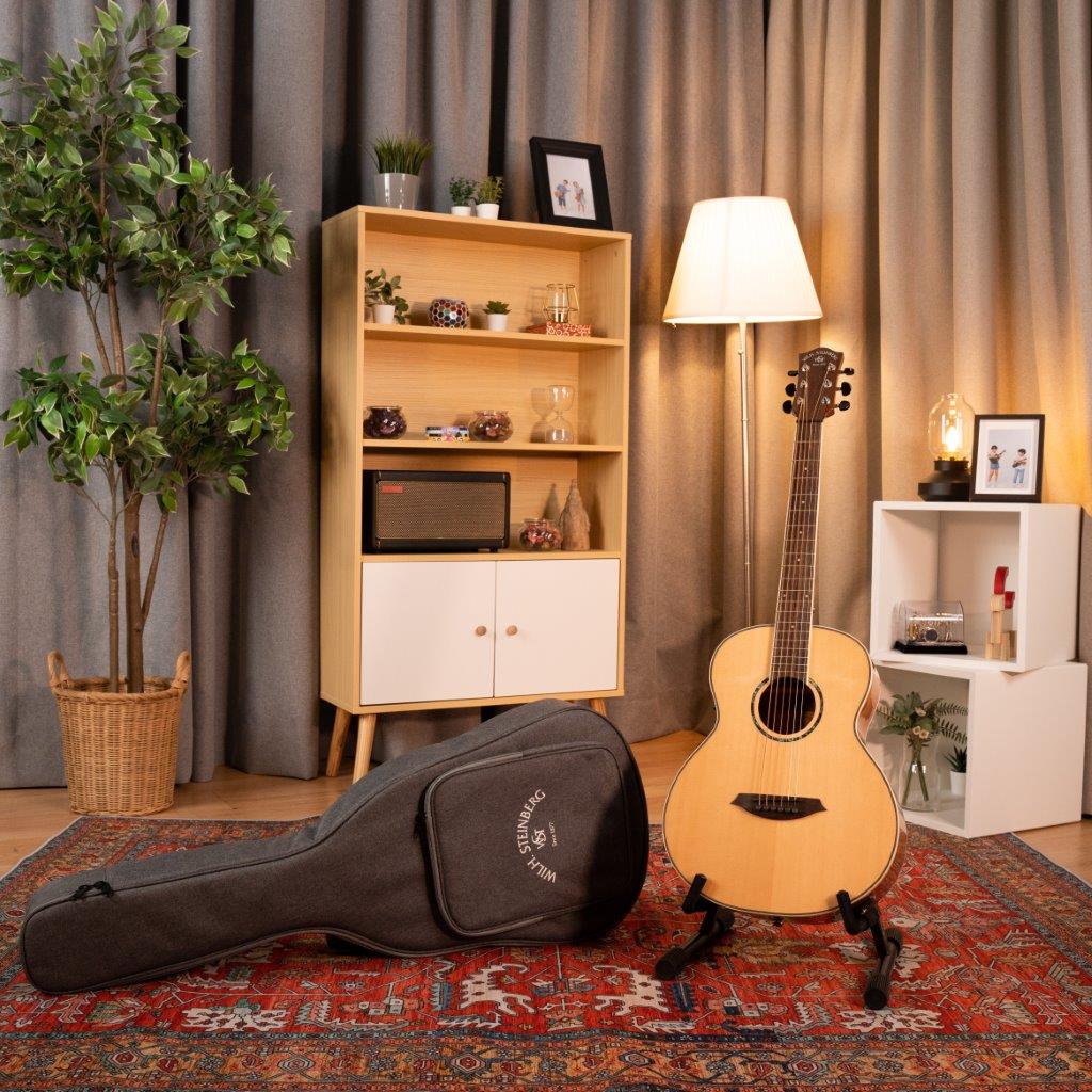 PT10se Travel Acoustic - Natural