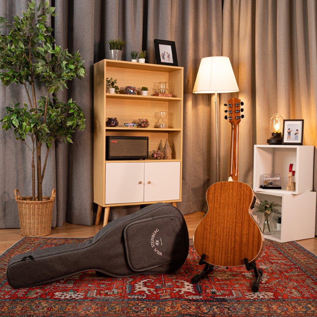 PT10se Travel Acoustic - Solid Spruce, EQ