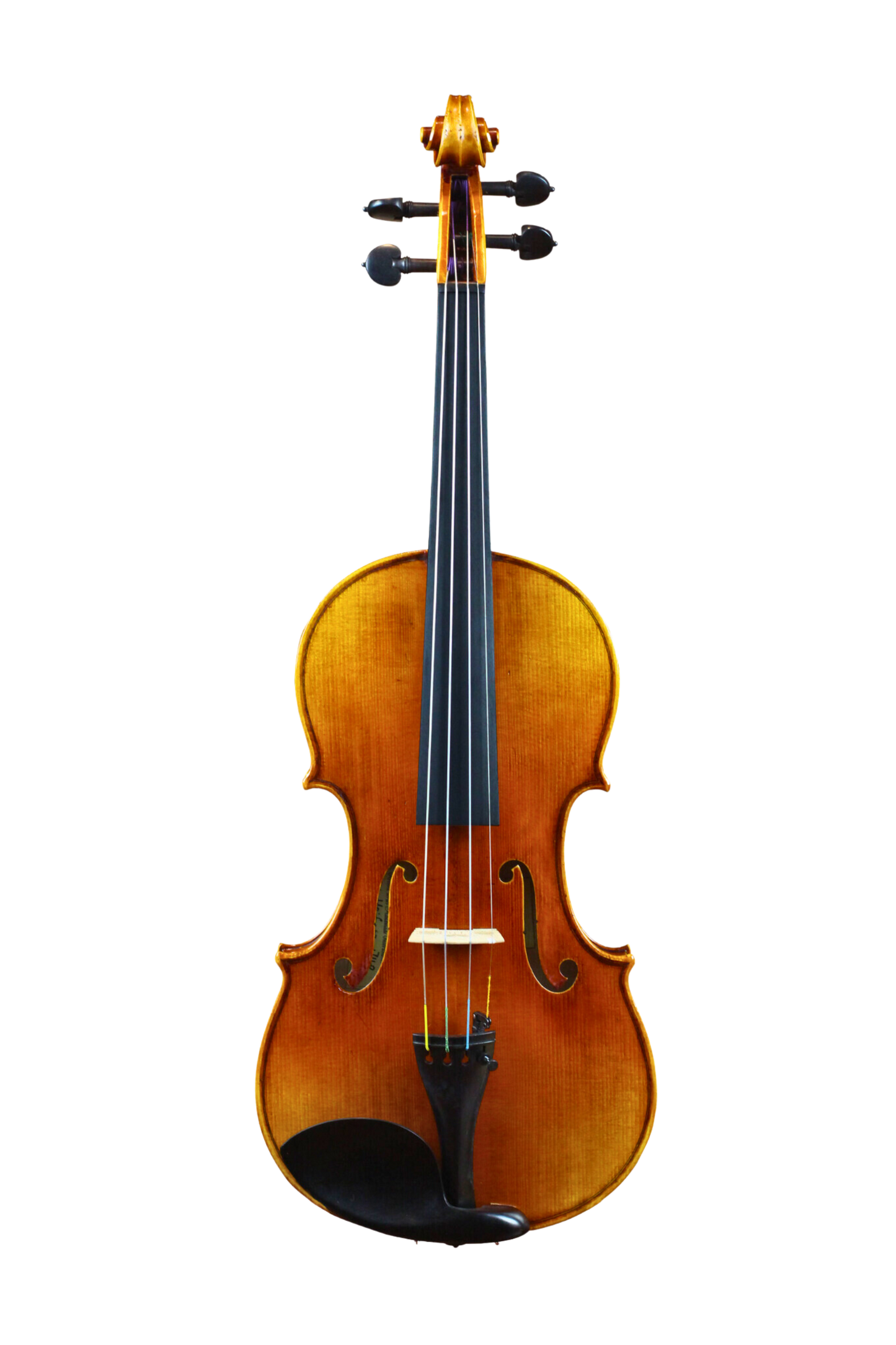 LS900 Violin