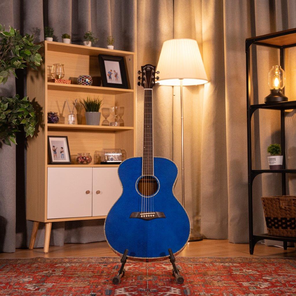 PG20S STB - Solid Spruce and Rosewood