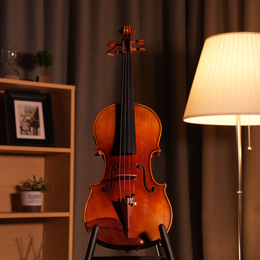 LS1000 VIOLIN