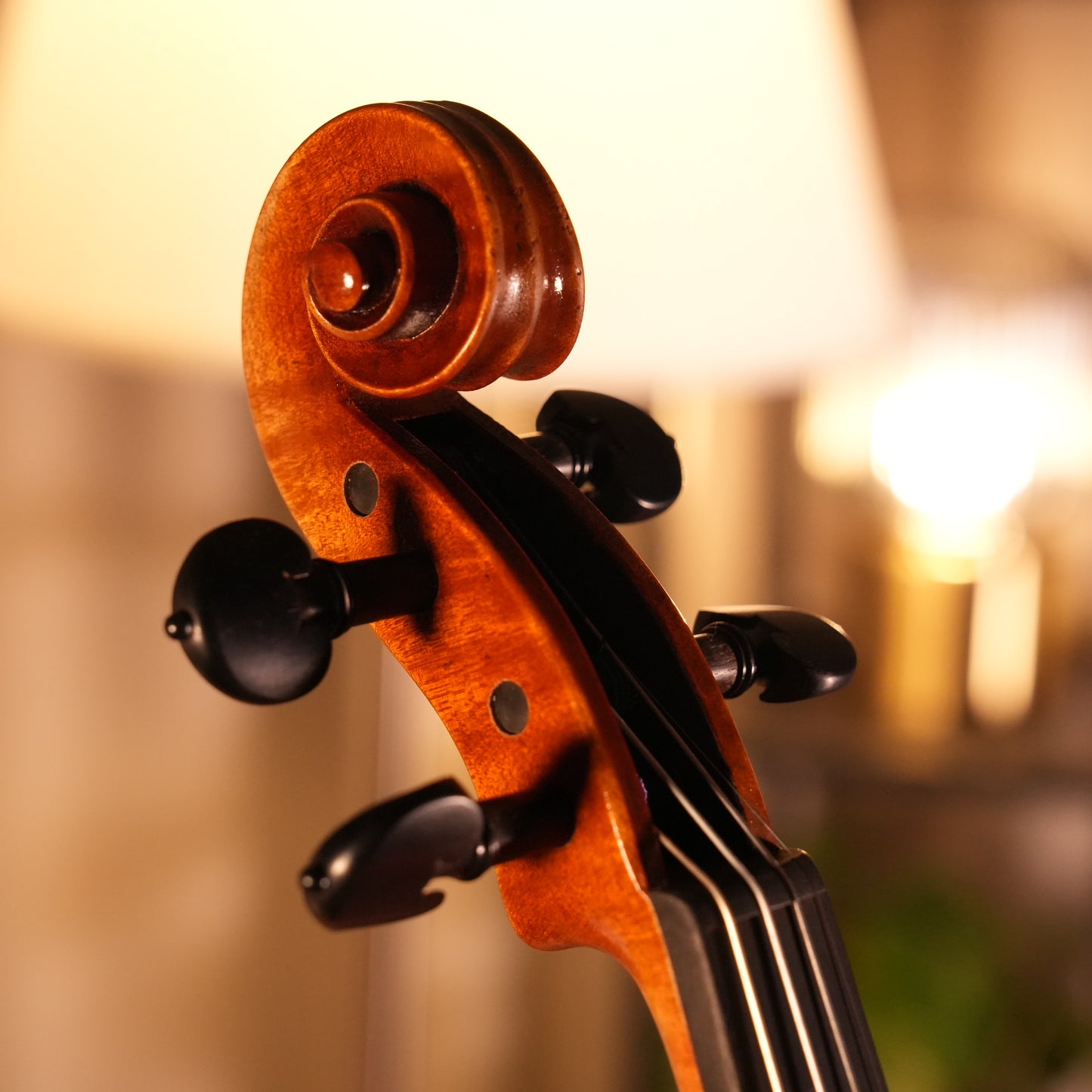 GS700 VIOLIN
