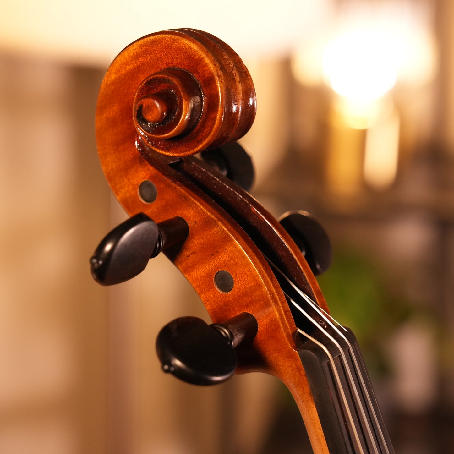 GS600 Violin