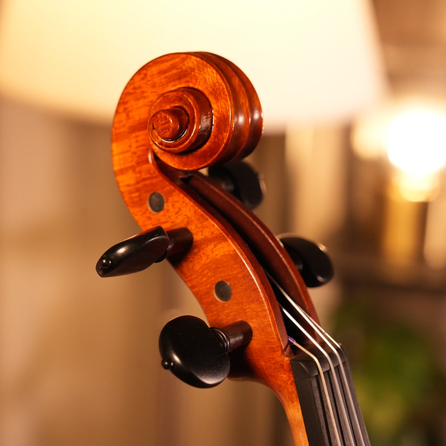 PS500 VIOLIN