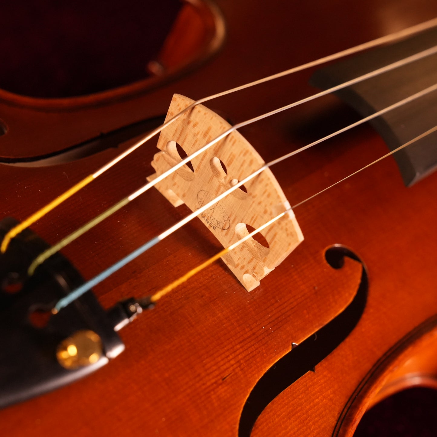 PS500 VIOLIN