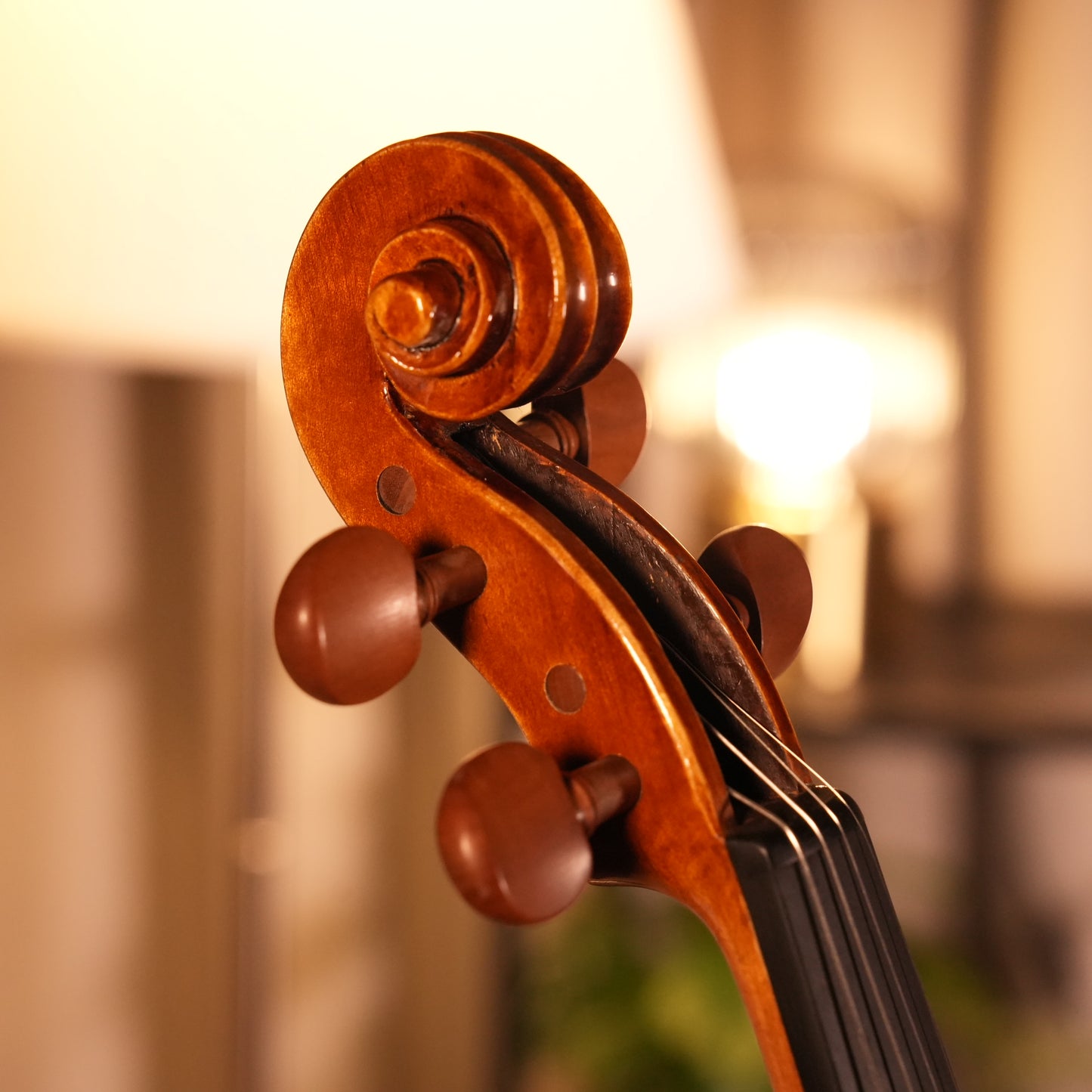 PS200 Violin