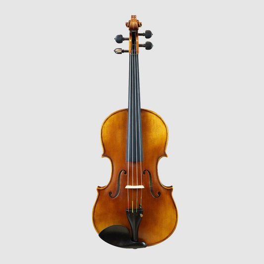 PSA500 VIOLA