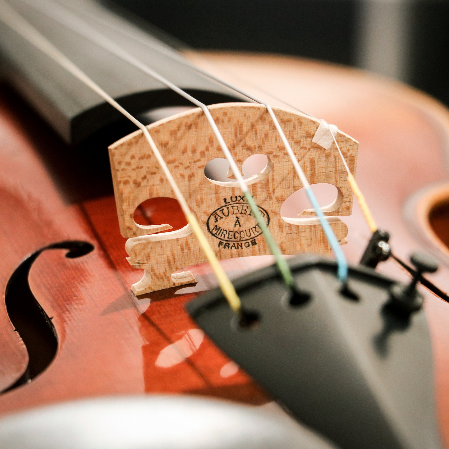 LS800 Violin