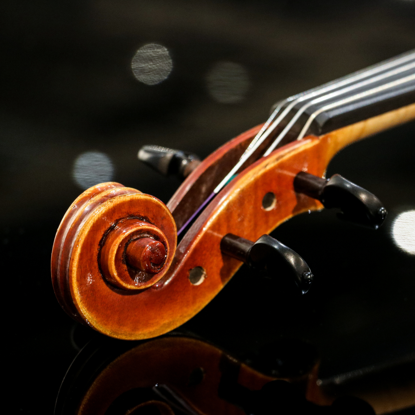 LS800 Violin