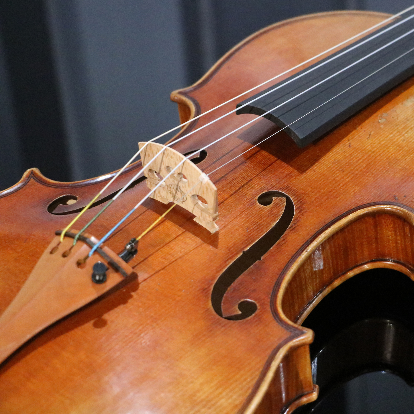 LS900 Violin