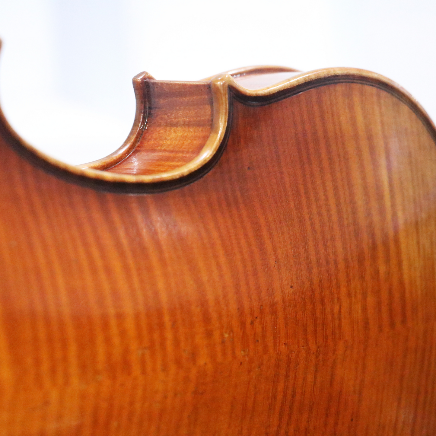 LS900 Violin