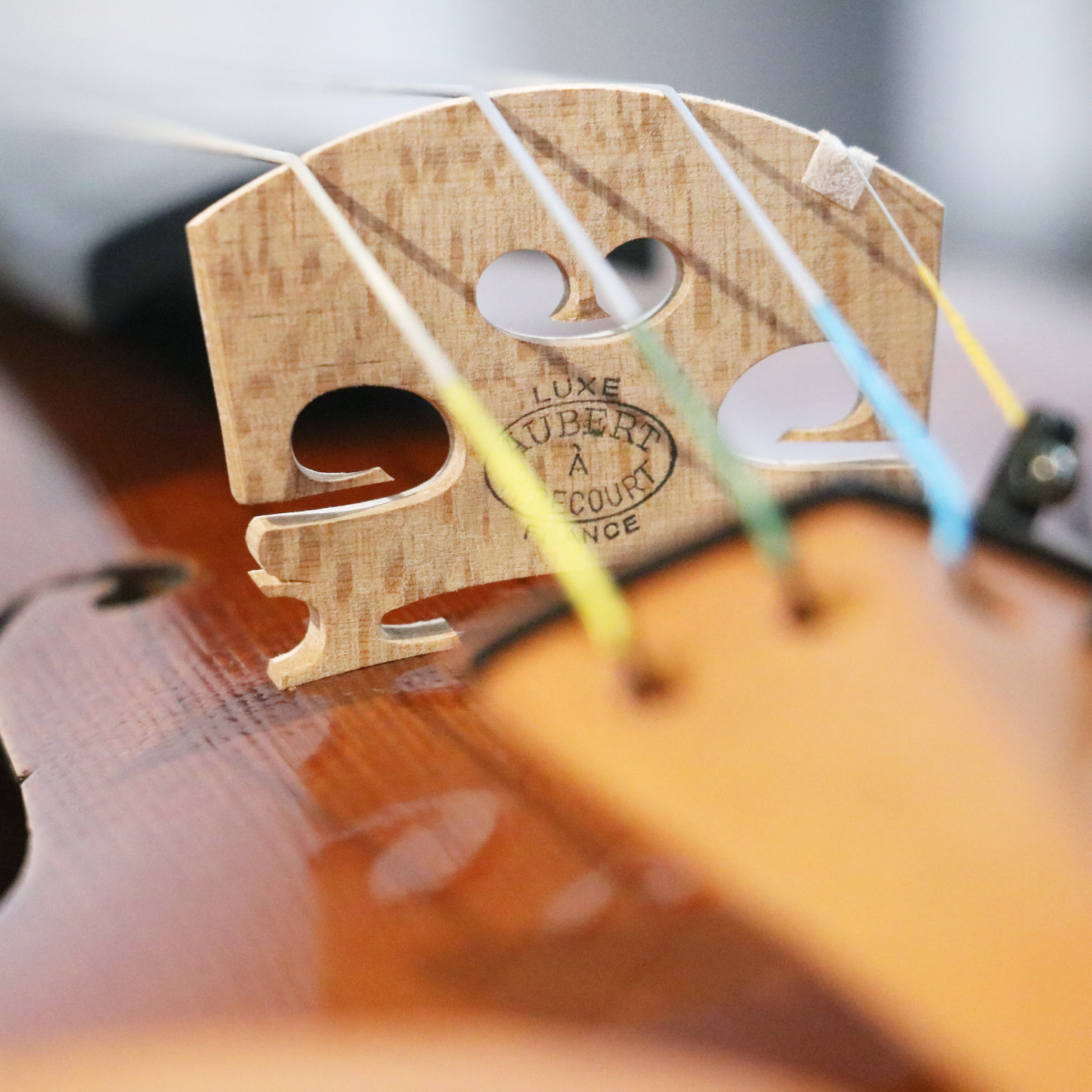 LS900 Violin