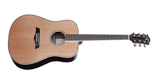 PD20S Solid-top Acoustic Dreadnought Guitar, Solid Spruce and Rosewood