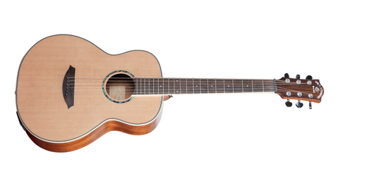 PT10se Travel Acoustic - Solid Spruce, EQ