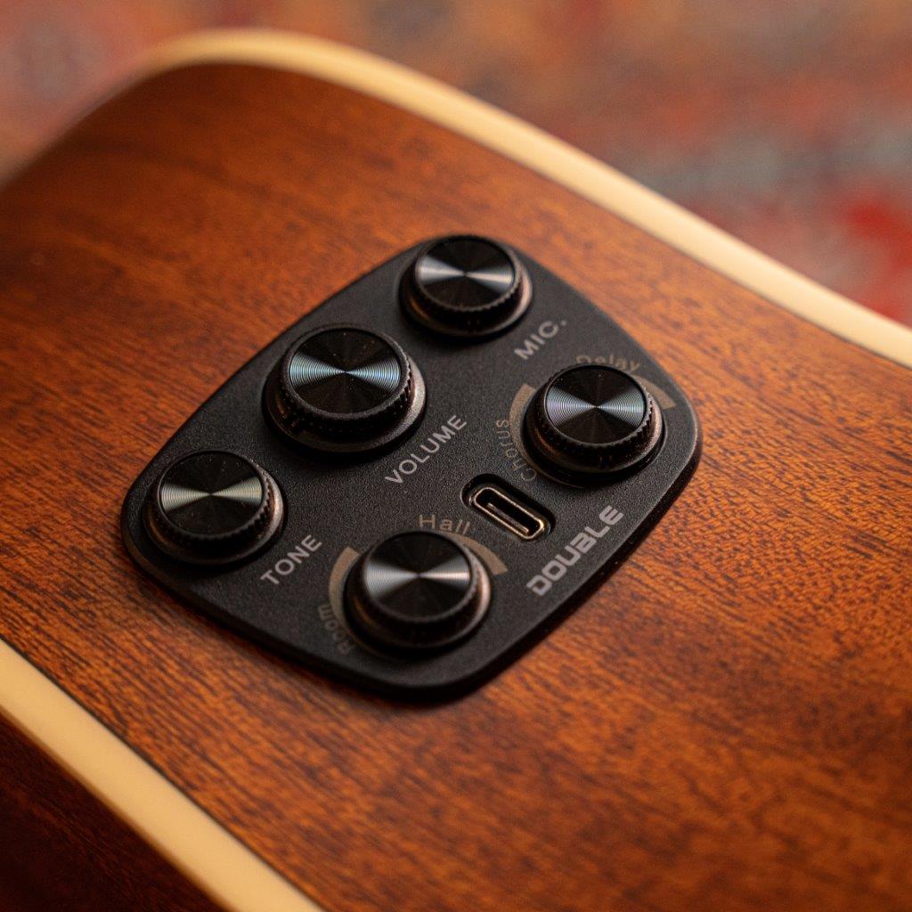 PD10MFSE - Solid Spruce, Mahogany, Unplugged Effects
