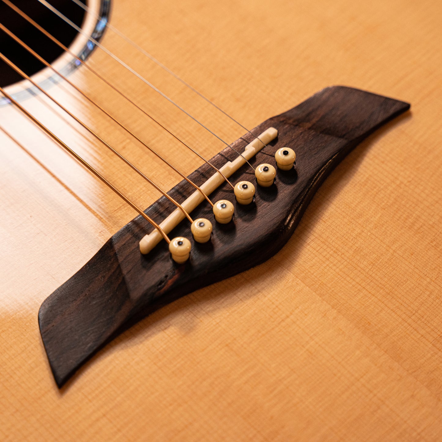 PG20SCE Solid-top Acoustic Electric Grand Auditorium Cutaway Guitar, Solid Spruce, Rosewood, EQ
