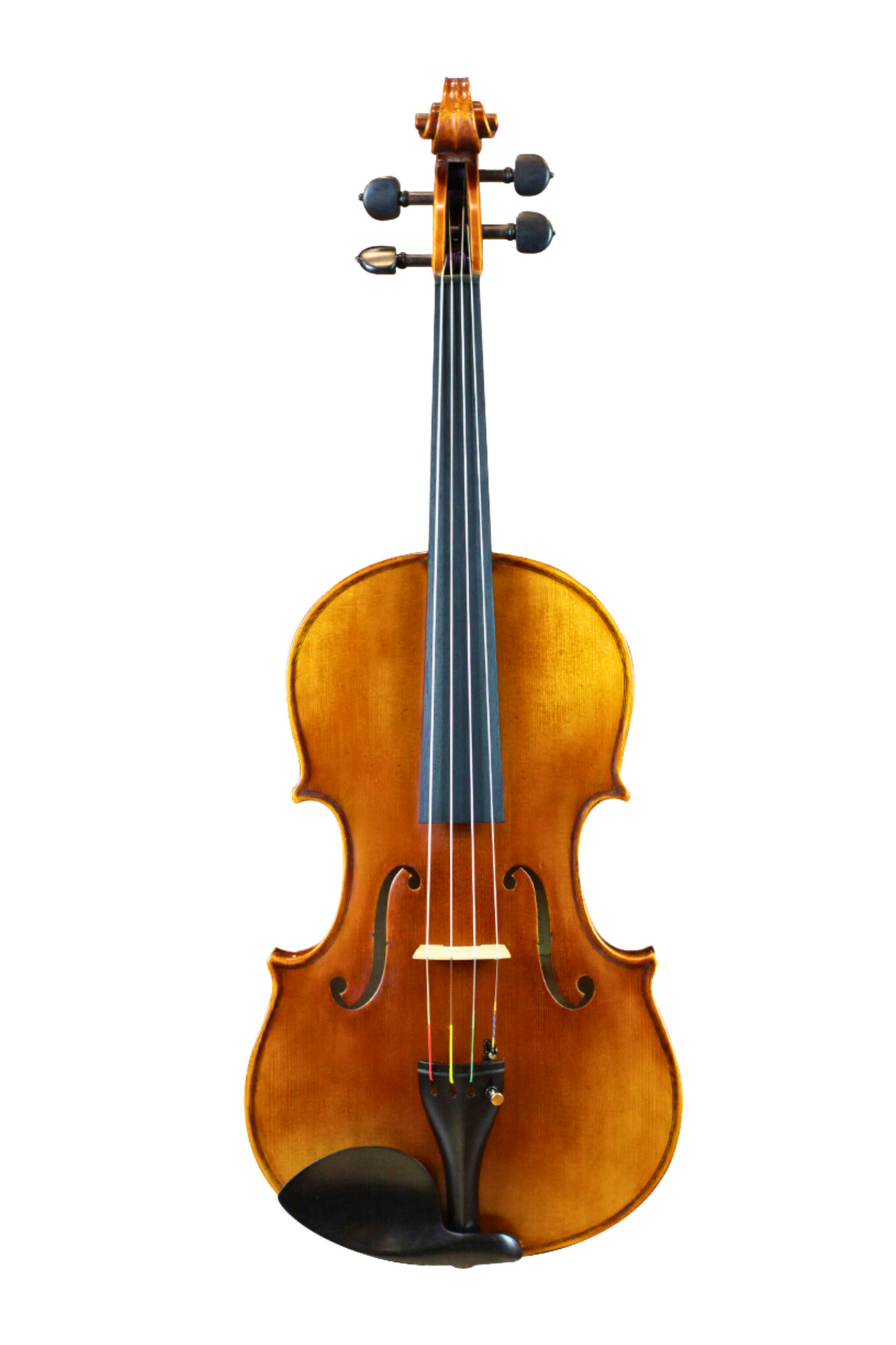 PSA500 VIOLA